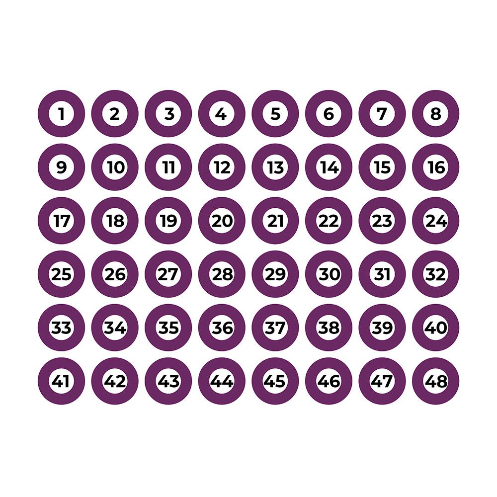 LÁMINA ADHESIVA A4 NUMERADA 1-48 MORADO EDM