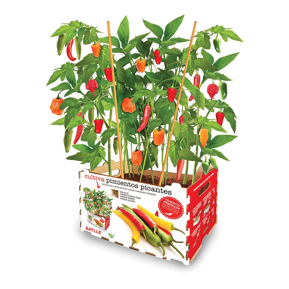 CAJA DE PIMIENTOS PICANTES