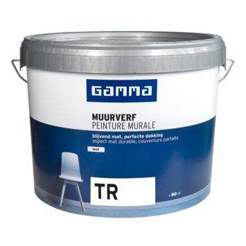 Pintura Plastica Nacarada 1L - Pinturas y Tarimas Ideas