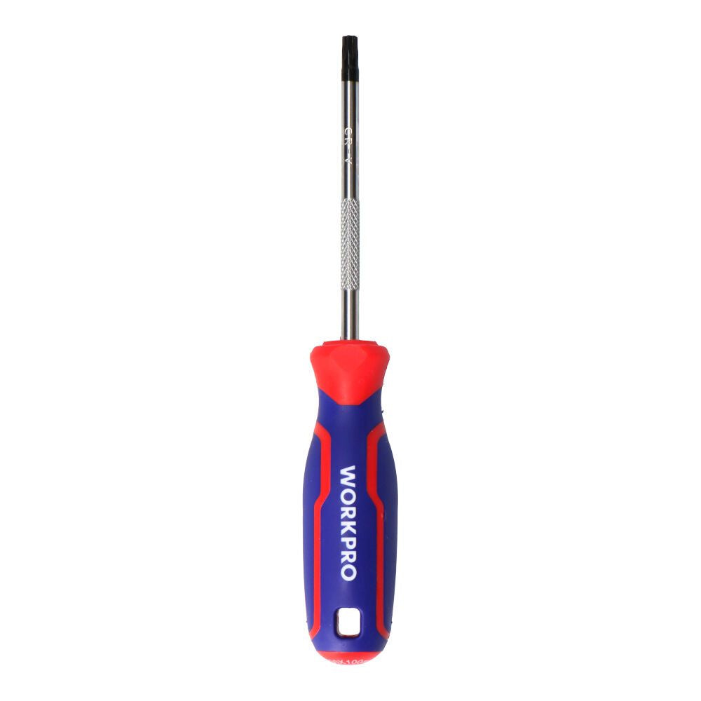 DESTORNILLADOR TORX T20 x 100 mm