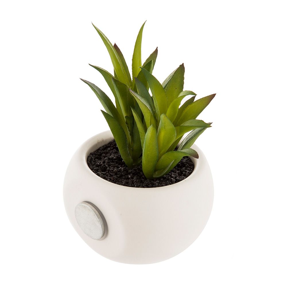 MACETA MINI CON IMAN DE SUCULENTA, 6 cm, MODELOS VARIADOS