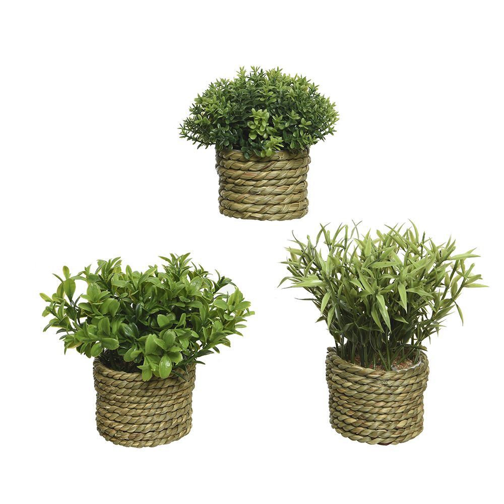 MACETA DE PLANTA VERDE Ø16 x 13 cm, MODELOS VARIADOS