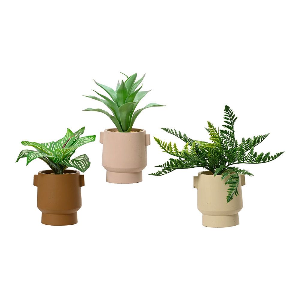 MACETA DE PLANTA VERDE, 25 cm, CON TIESTO DE COLORES SURTIDOS, MODELOS VARIADOS