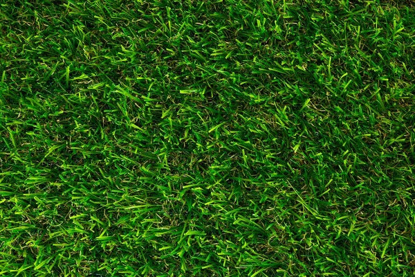 Perfect Artificial Grass