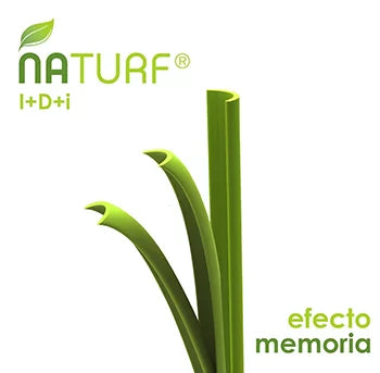 Delicate Artificial Grass