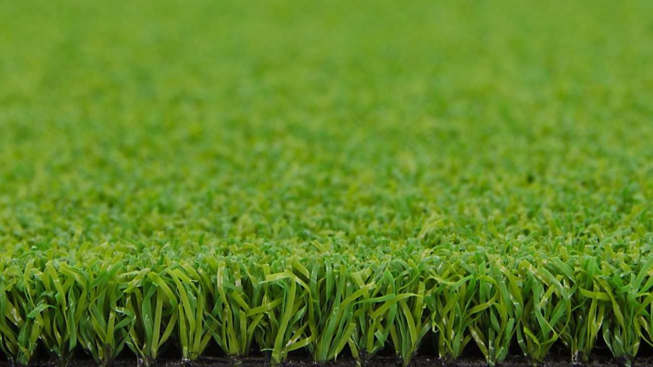 Artificial Grass Party