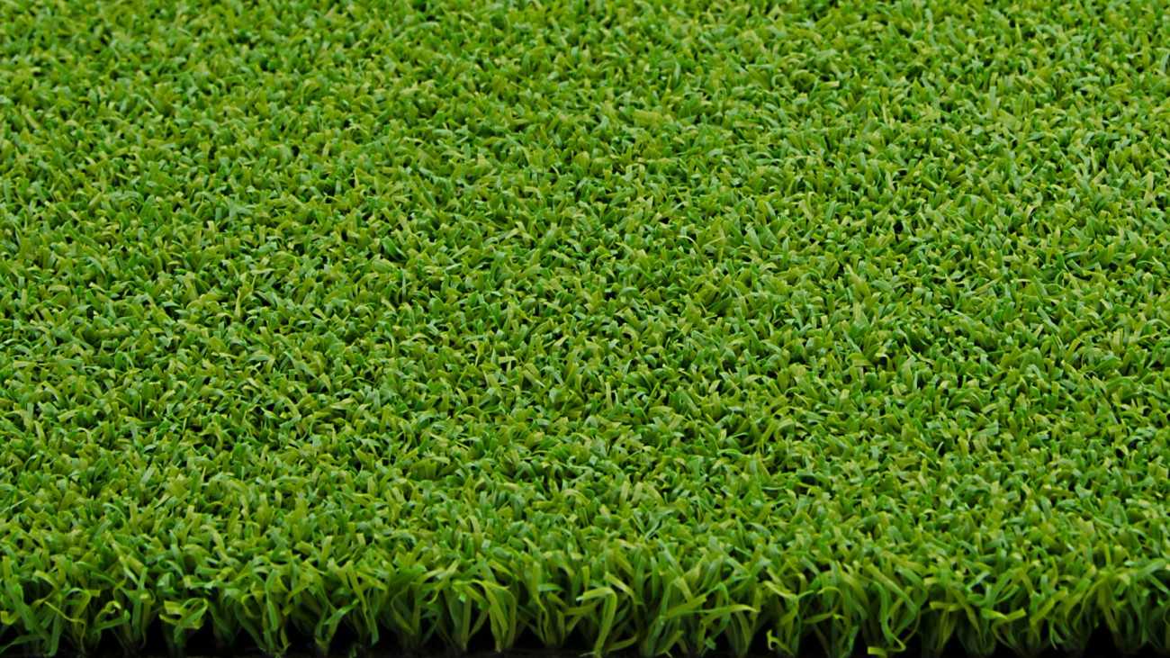 Artificial Grass Party