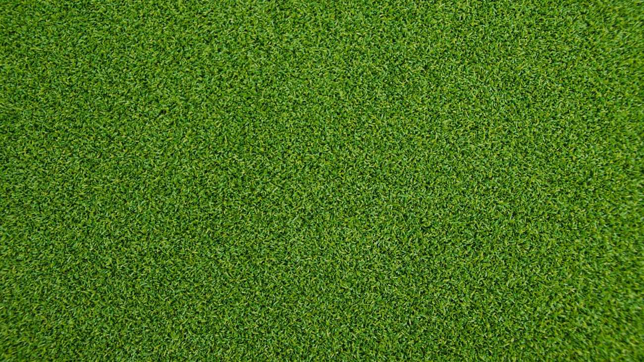 Artificial Grass Party