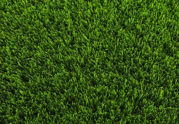 Delicate Artificial Grass