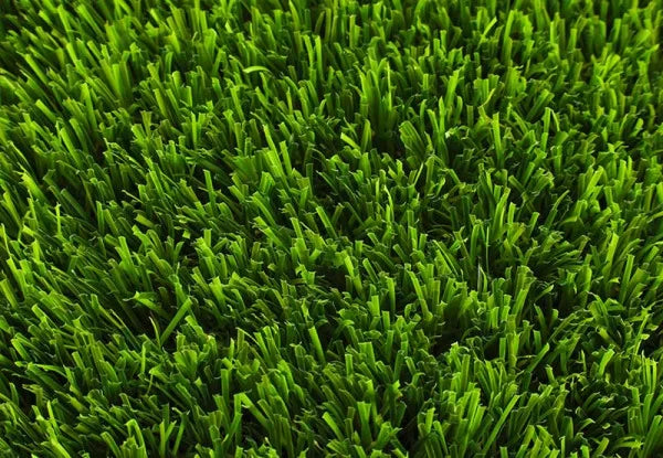Delicate Artificial Grass