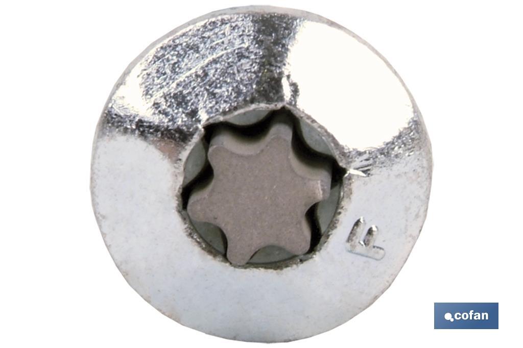 TORNILLO INVIOLABLE TORX30 M-7X90