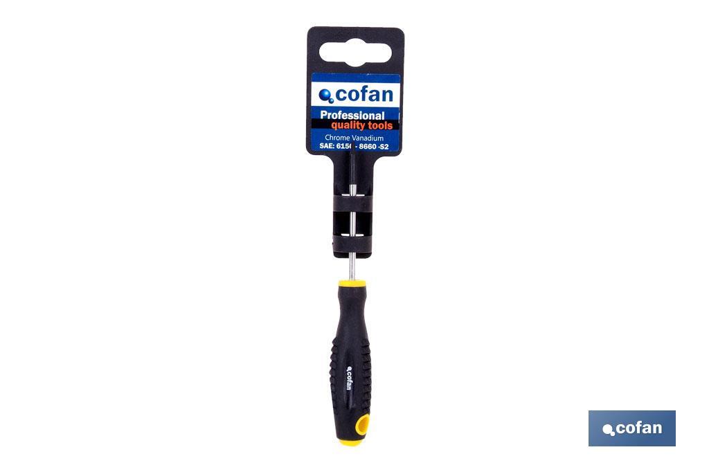 DESTORN. CR-MOLIBDENO TORX T-7X60