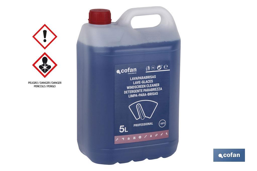LAVAPARABRISAS ANTICONGELANTE -10º 5 L