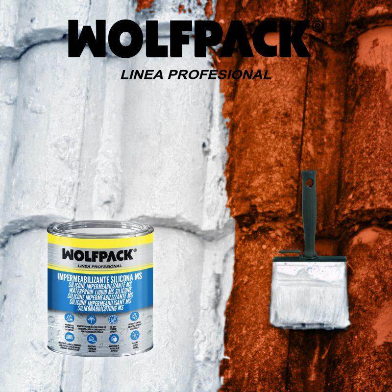 Impermeabilizante Silicona Ms Polymer Blanco 1 Kg. Silicona Liquida, Revestimiento Acrilico, Impermeabilizante, Pintura Acrilica - Pinturas y Tarimas Ideas