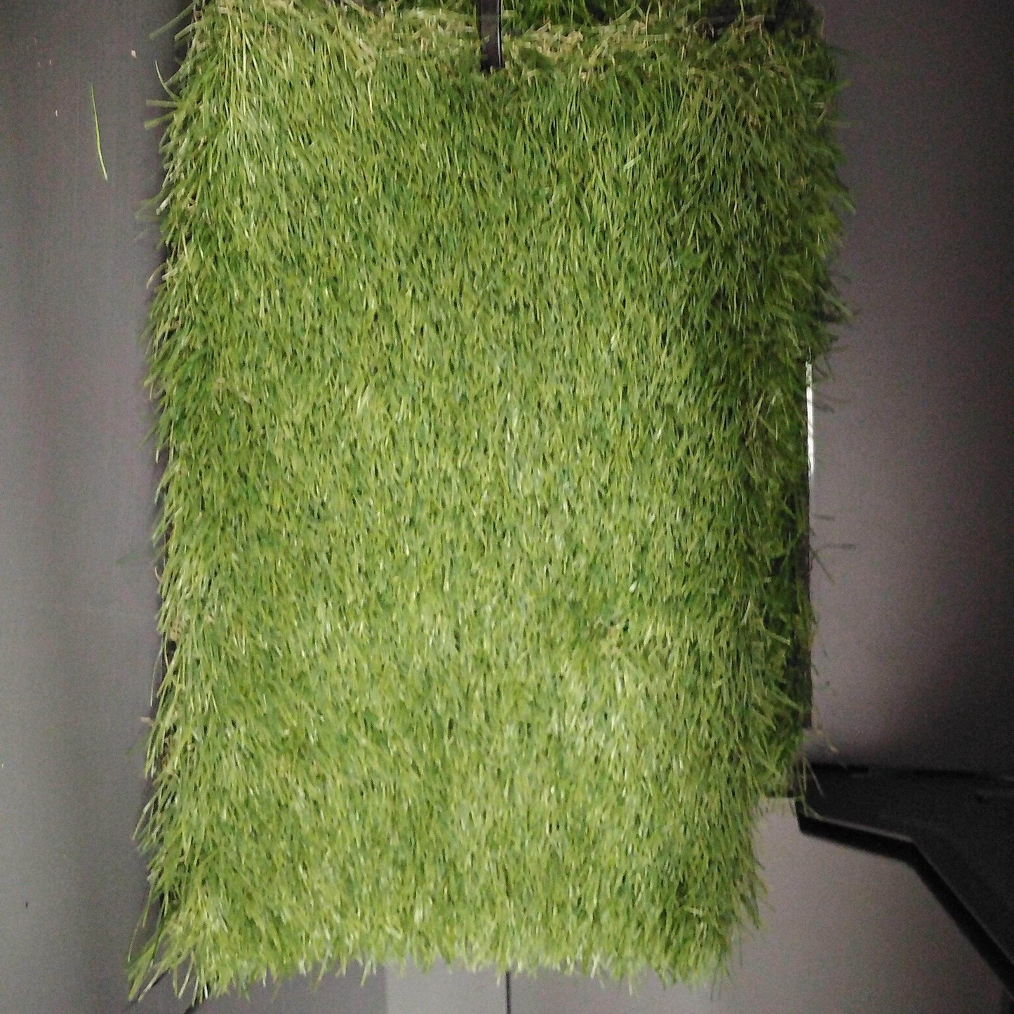 Cesped Artificial Jupiter - Pinturas y Tarimas Ideas