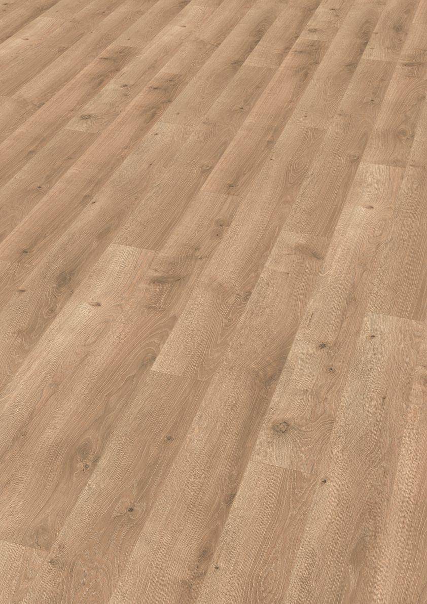 Suelo Laminado FINfloor Durable AC6 Roble Selena Dorado - Pinturas y Tarimas Ideas