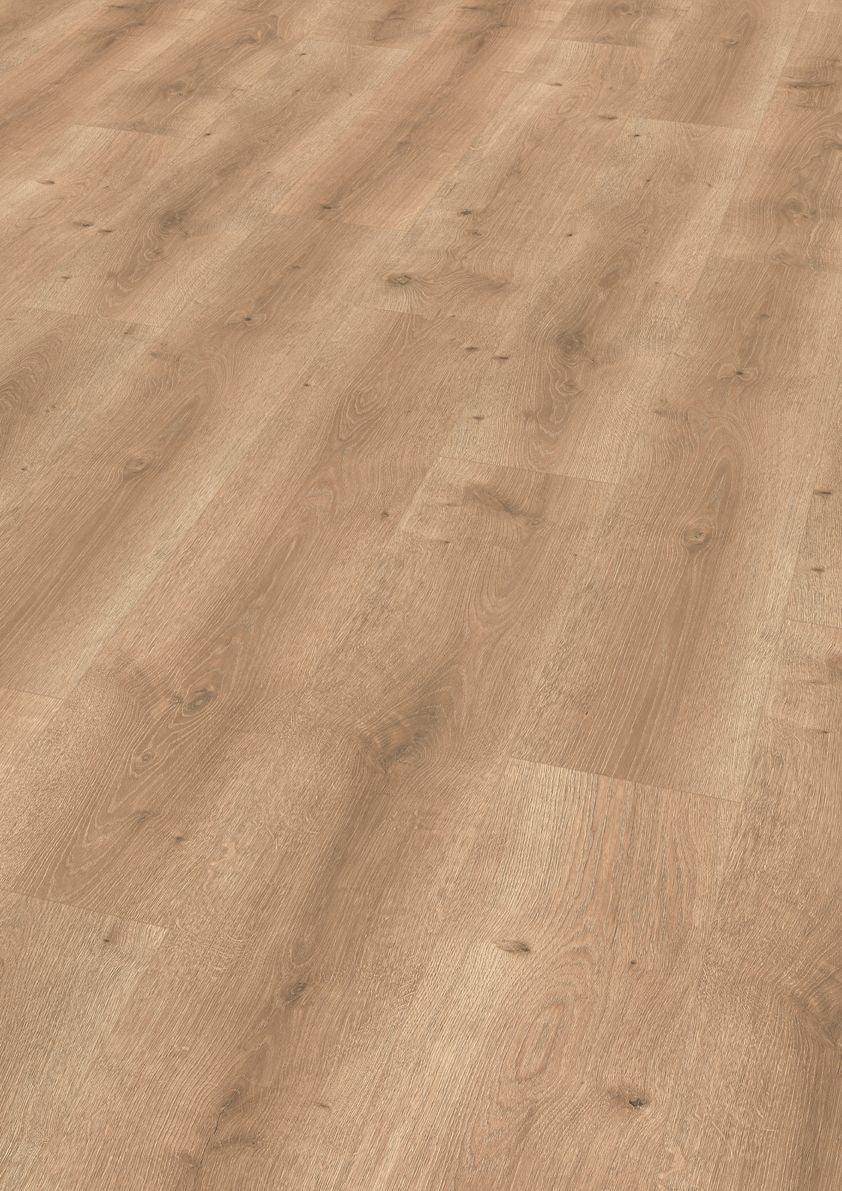 Suelo Laminado FINfloor Durable AC6 Roble Selena Dorado - Pinturas y Tarimas Ideas