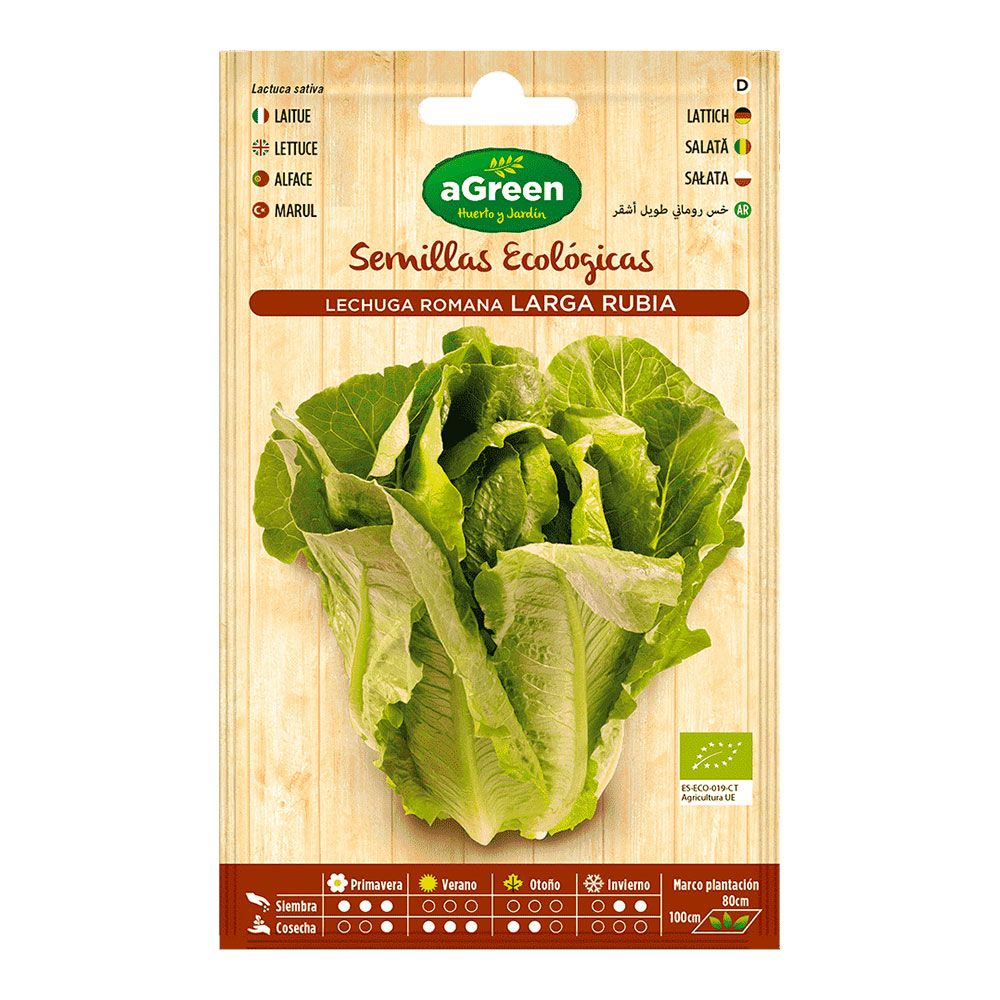 SOBRE CON SEMILLAS ECO DE LECHUGA ROMANA LARGA AGREEN