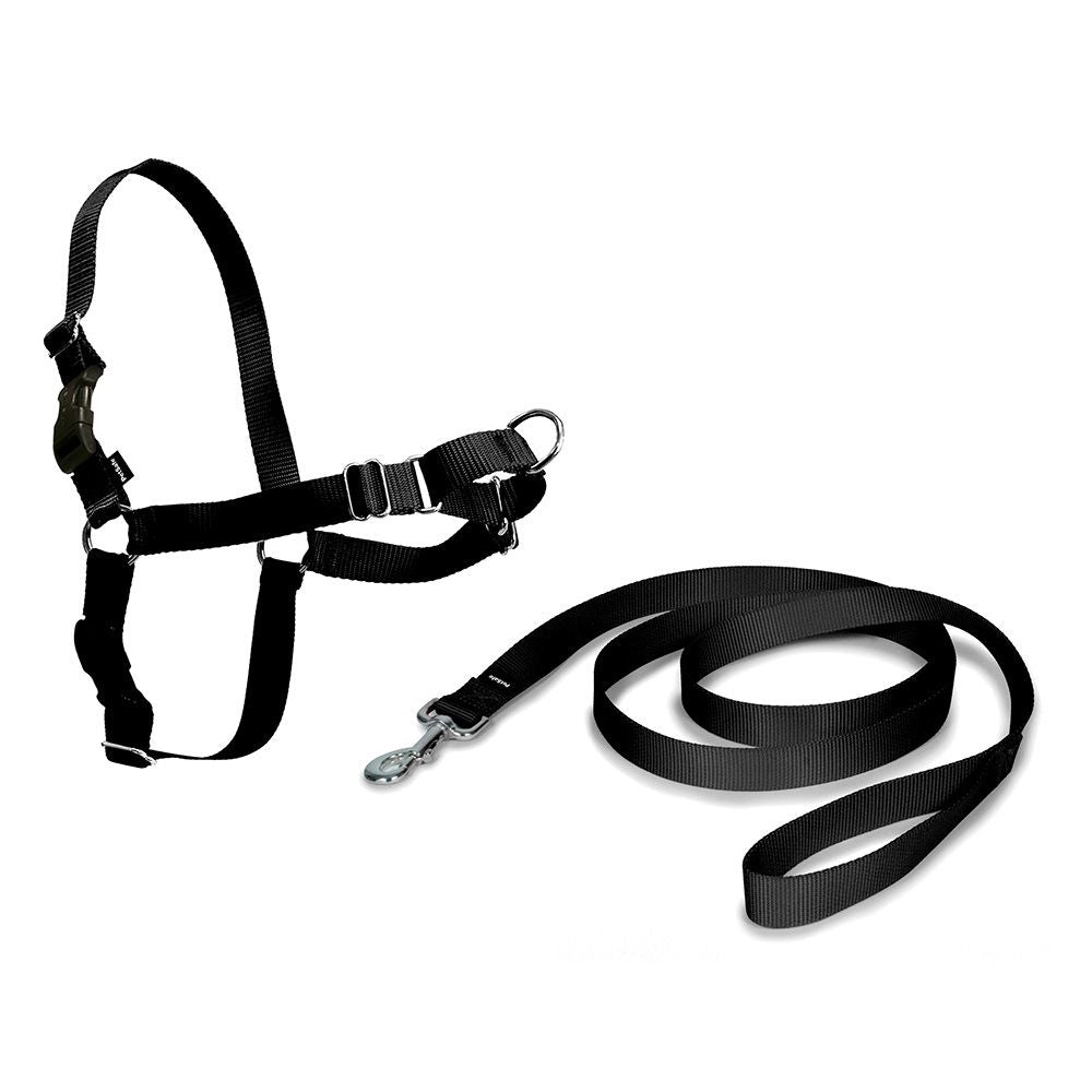 ARNÉS EASY WALK NEGRO MEDIANO 56-81 cm
