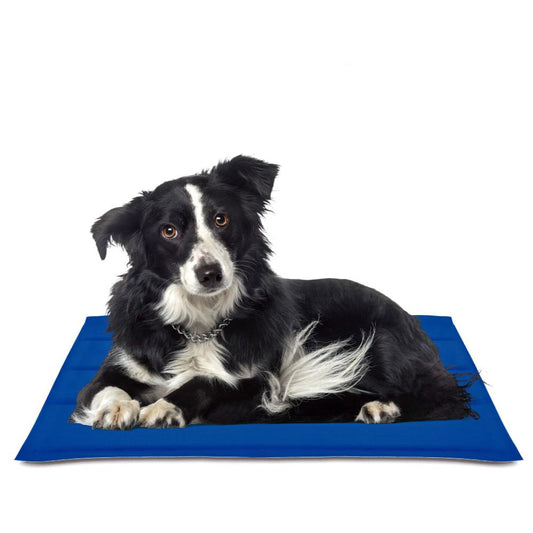 ALFOMBRILLA REFRESCANTE COOL MAT GEL AZUL 50 x 90 cm