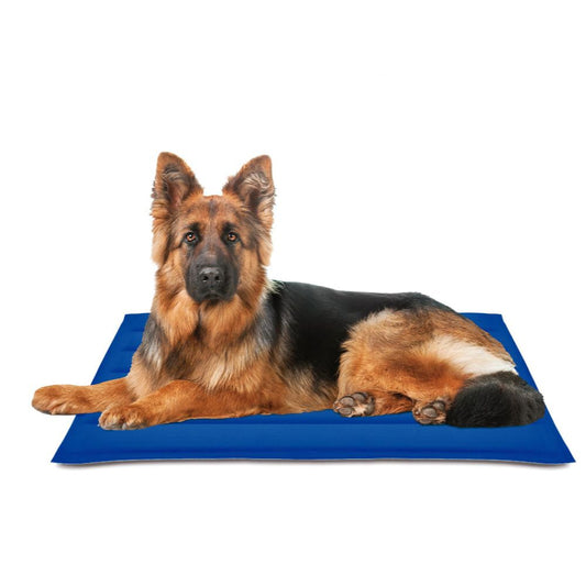 ALFOMBRILLA REFRESCANTE COOL MAT GEL AZUL 90 x 105 cm