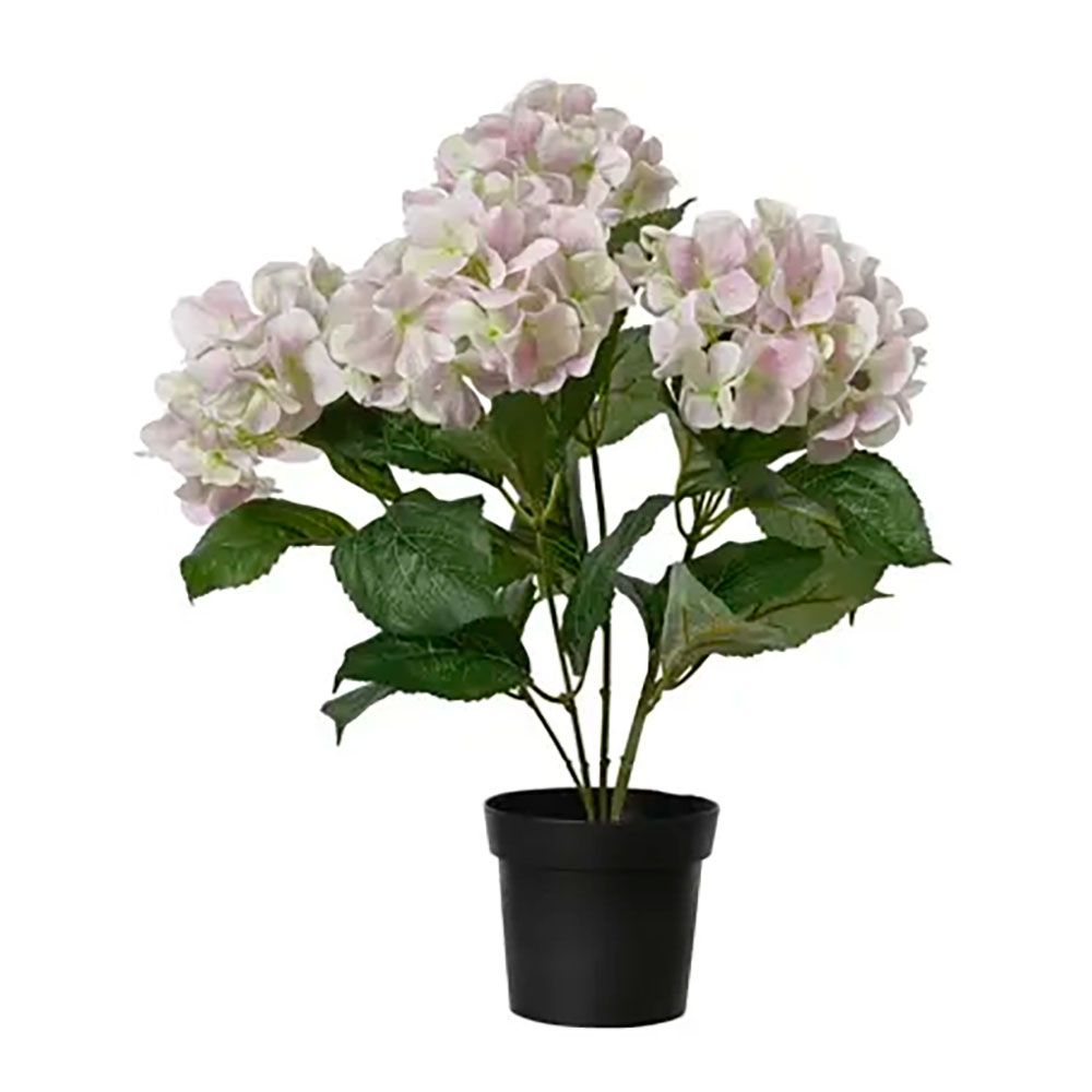 MACETA DE HORTENSIAS ROSAS CLARITO, Ø28 x 46 cm