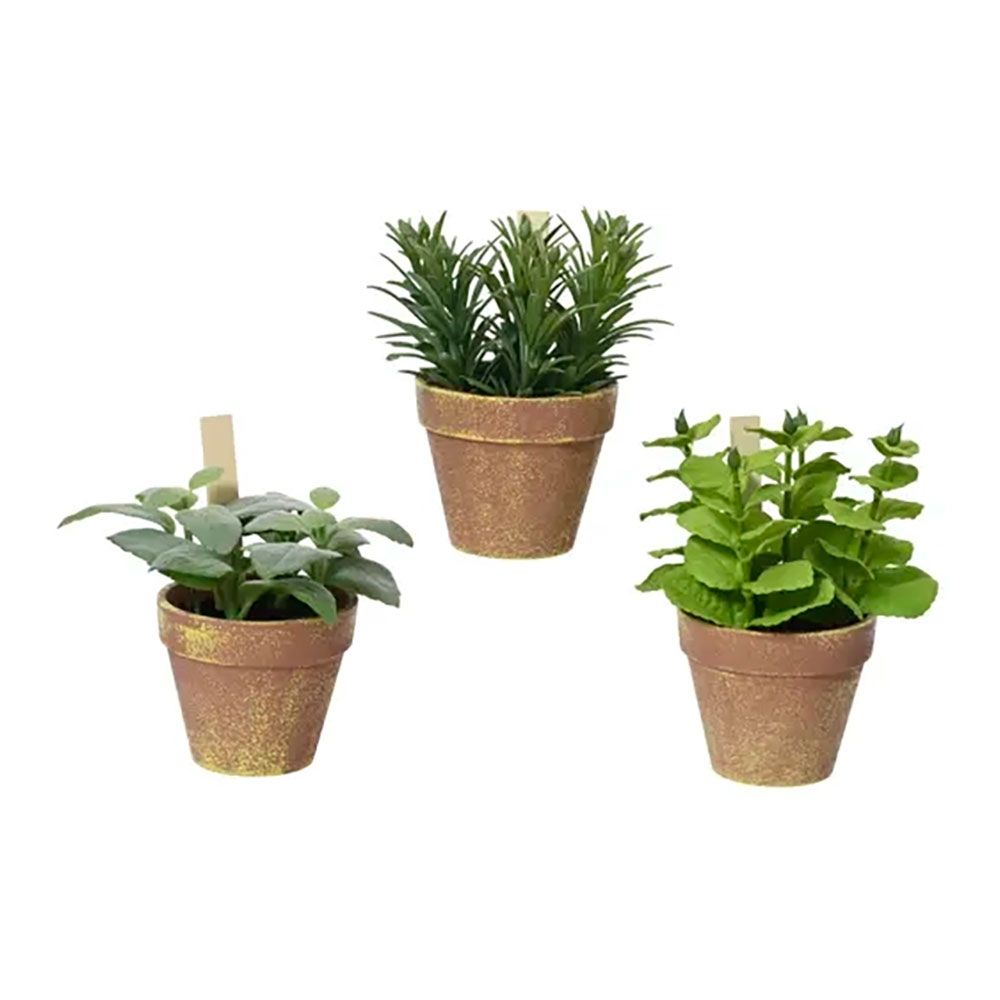 MACETA DE TOMILLO, ALBAHACA Y MENTA, Ø15 x 15 x 17 cm, MODELOS VARIADOS