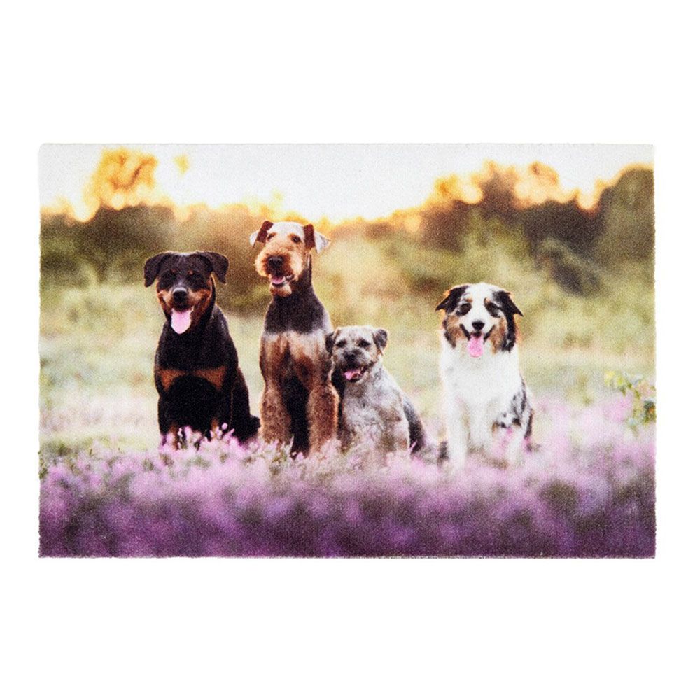 FELPUDO DE INTERIOR, DECO PRINT, 100% POLIAMIDA, 40 x 60 cm, DISEÑO GRUPO PERRO