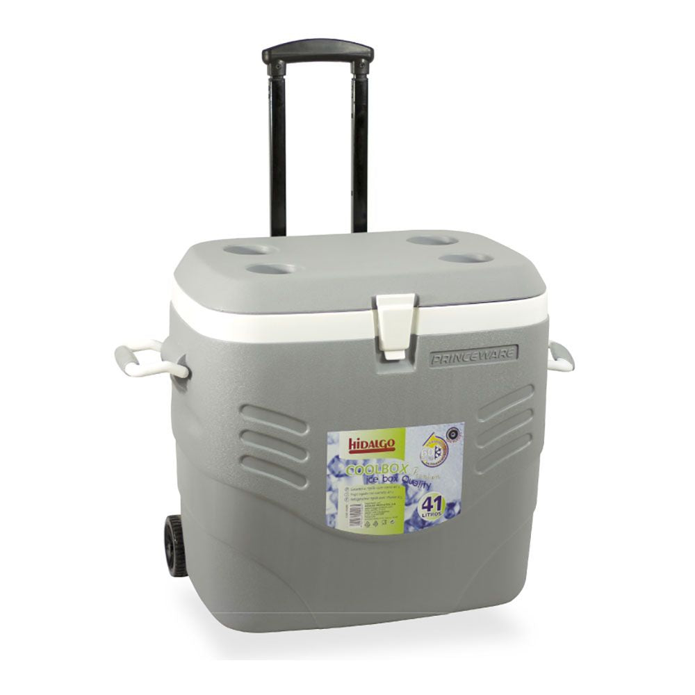 NEVERA DE CAMPING CON RUEDAS 41 L GRIS