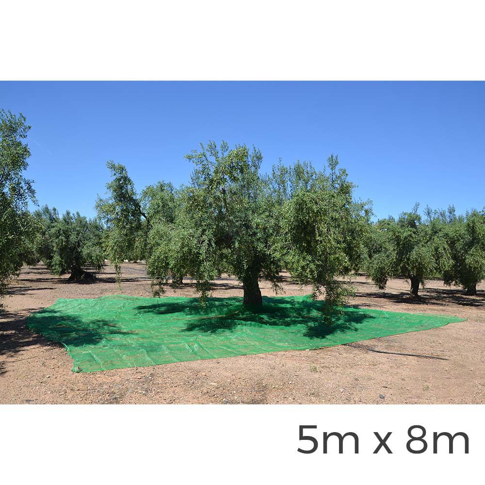 MANTO PARA RECOLECTA DE FRUTOS 5x8m COLOR VERDE