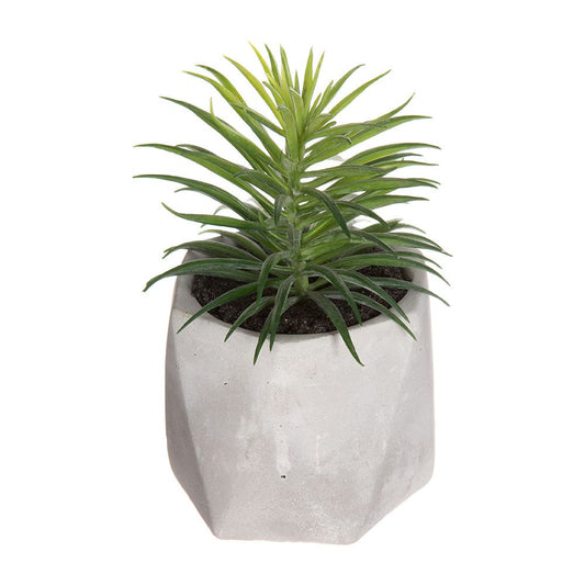MACETA MINI DE SUCULENTA, 7 x 14 cm, MODELOS VARIADOS