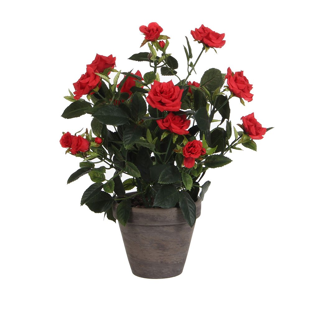 MACETA CON ROSAL ROJO, Ø11,5 x 33 x 25 cm