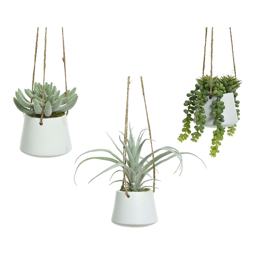 MACETA COLGANTE DE SUCULENTA, 20 cm, MODELOS VARIADOS