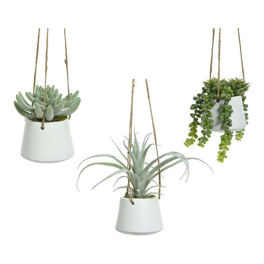 MACETA COLGANTE DE SUCULENTA, 20 cm, MODELOS VARIADOS