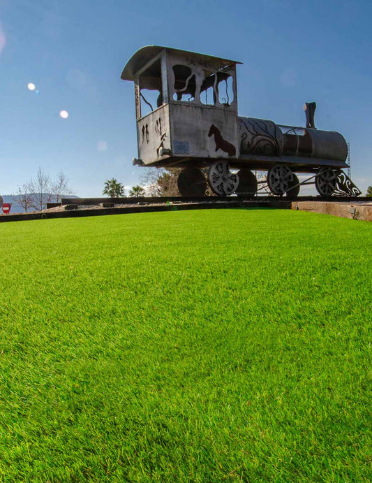 Perfect Artificial Grass
