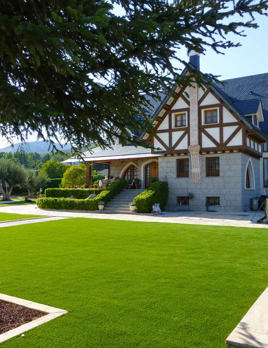 Delicate Artificial Grass