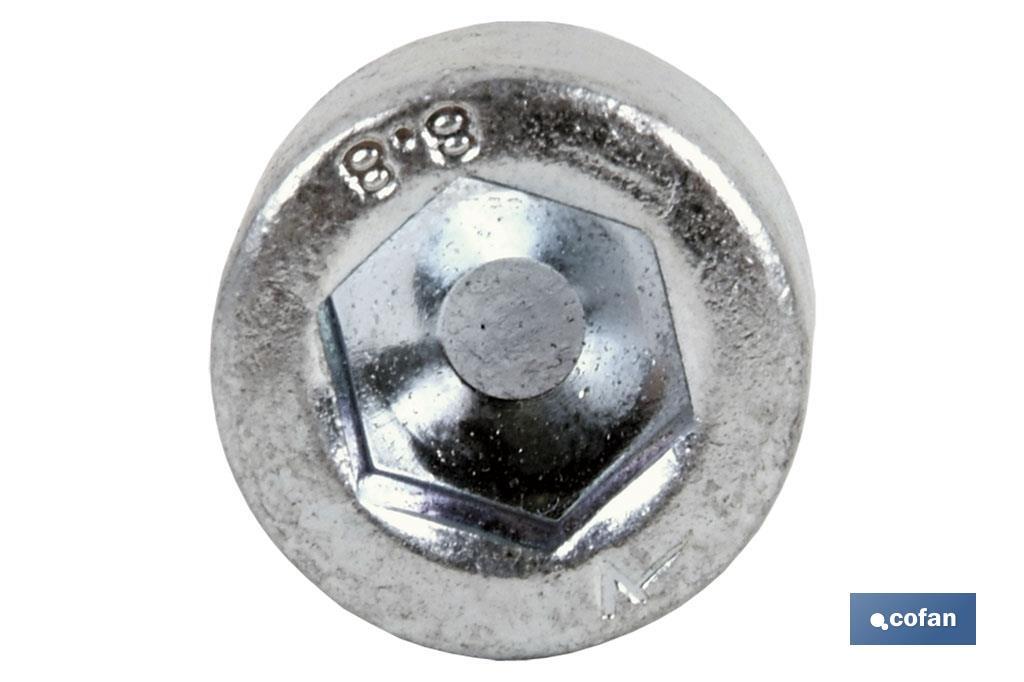 DIN-912 C-8.8    M-8 X 65 Z