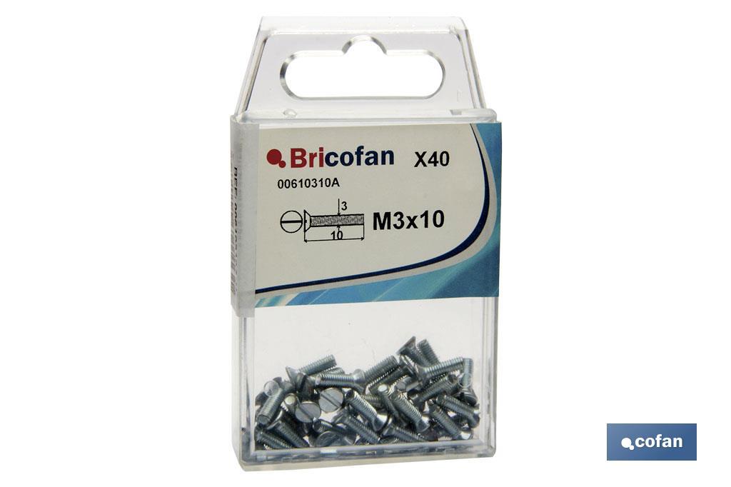 BL 14 UDS. DIN-963  M-4X25
