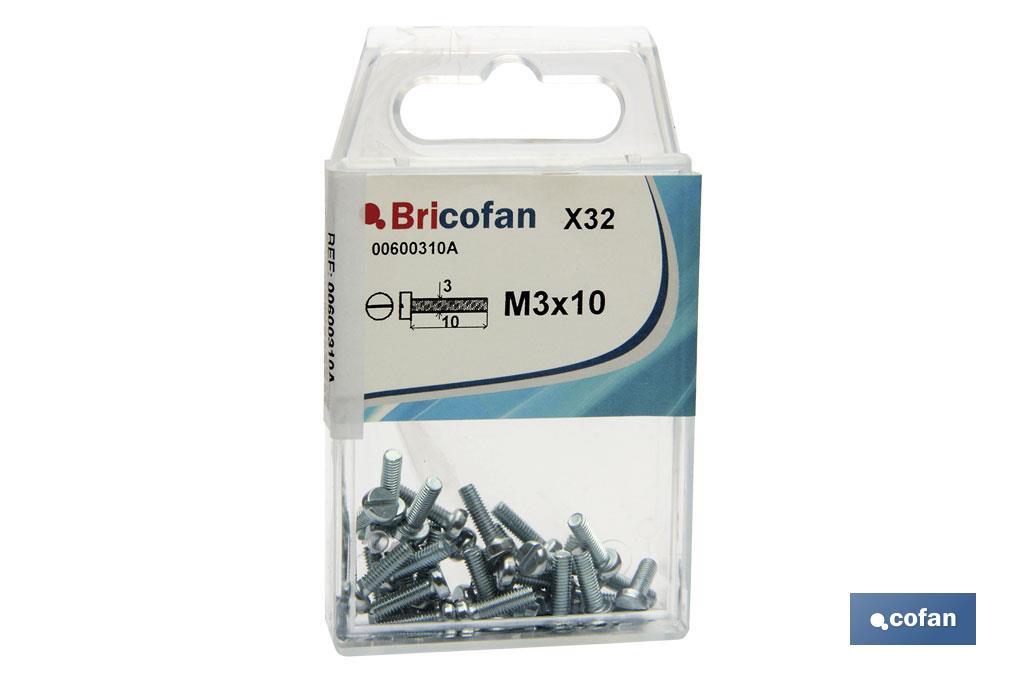 BL 14 UDS. DIN-84 M-4X20 Z