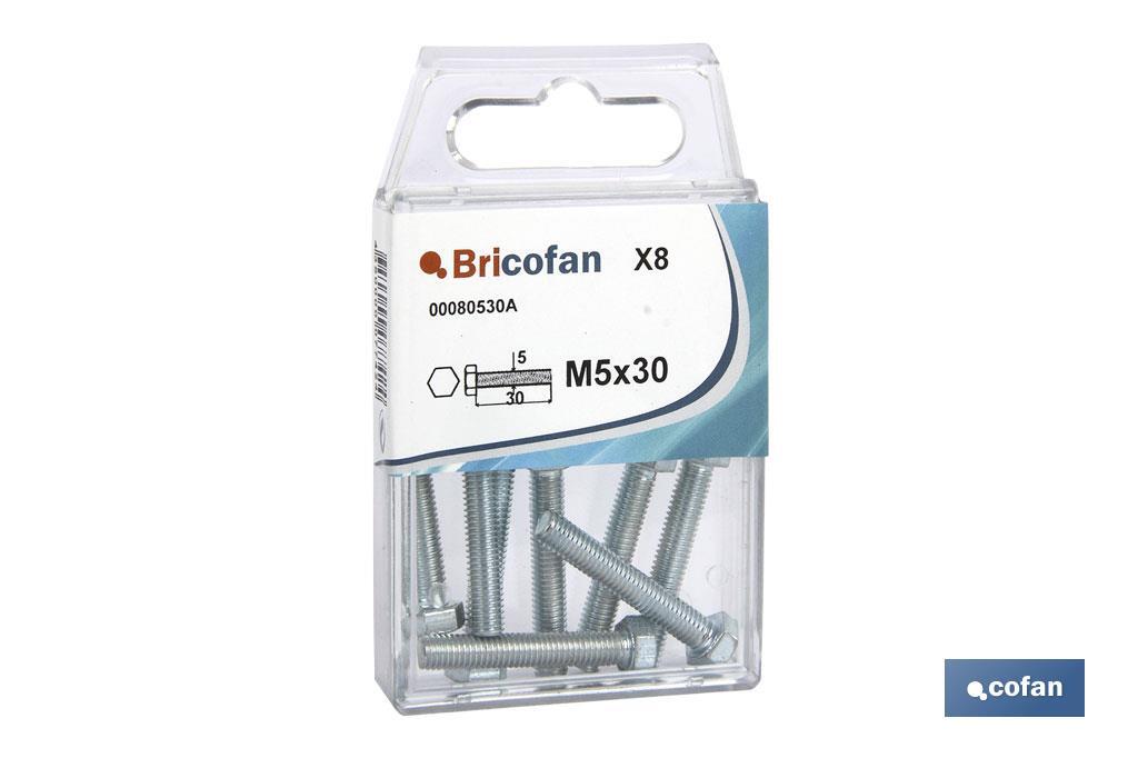 BLÍSTER DE 5 UDS. DIN-933 M-6X60 ZINC VENTA UNITARIA