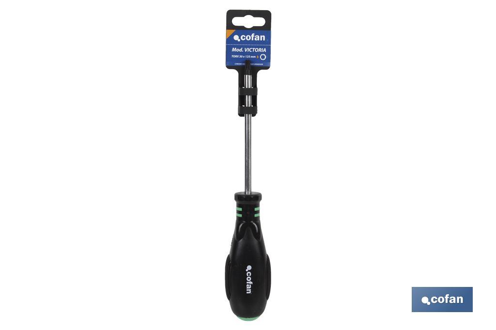 DESTORNILLADOR TORX 9 X 60