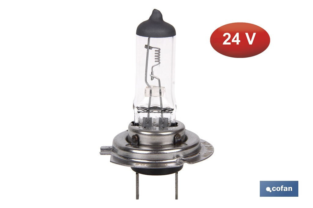 LÁMPARA HALÓGENA COFAN H7 (Px26d) 24V 70W