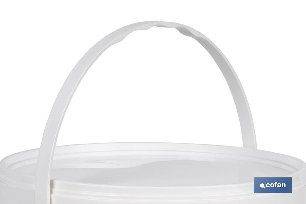 PINTURA PLASTICA ANTIBACTERIAS IONES PLATA 12 L