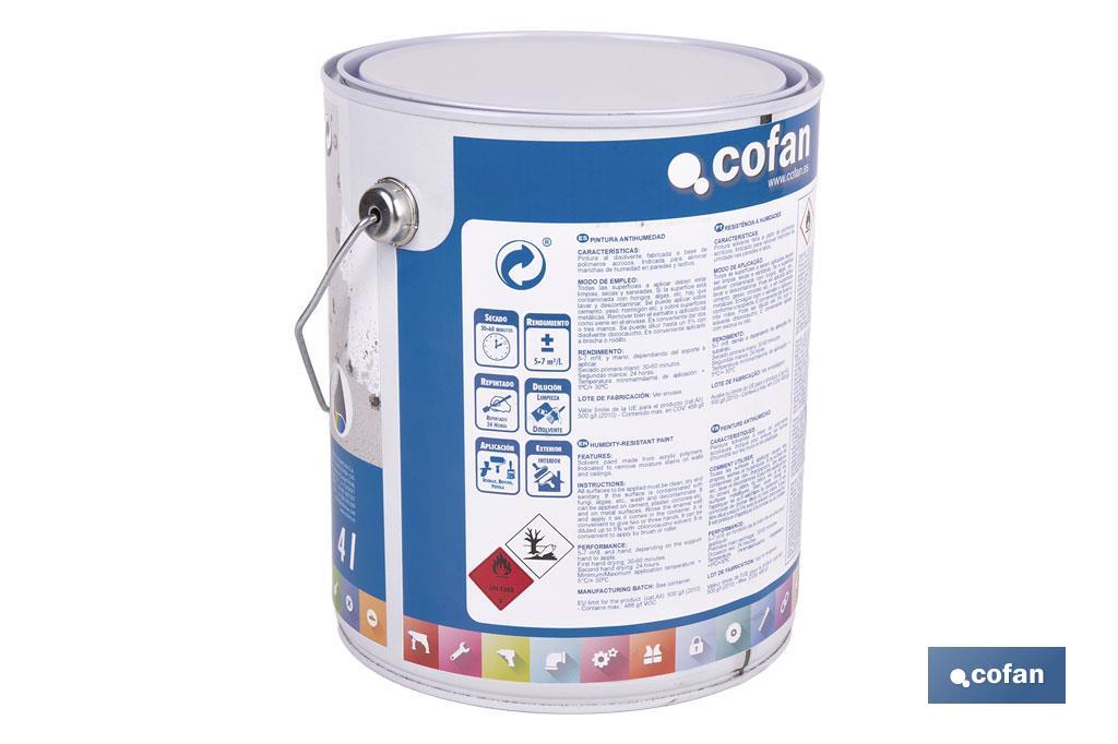 PINTURA ANTIHUMEDAD SINTÉTICA (4 L)  BLANCO SATINADO