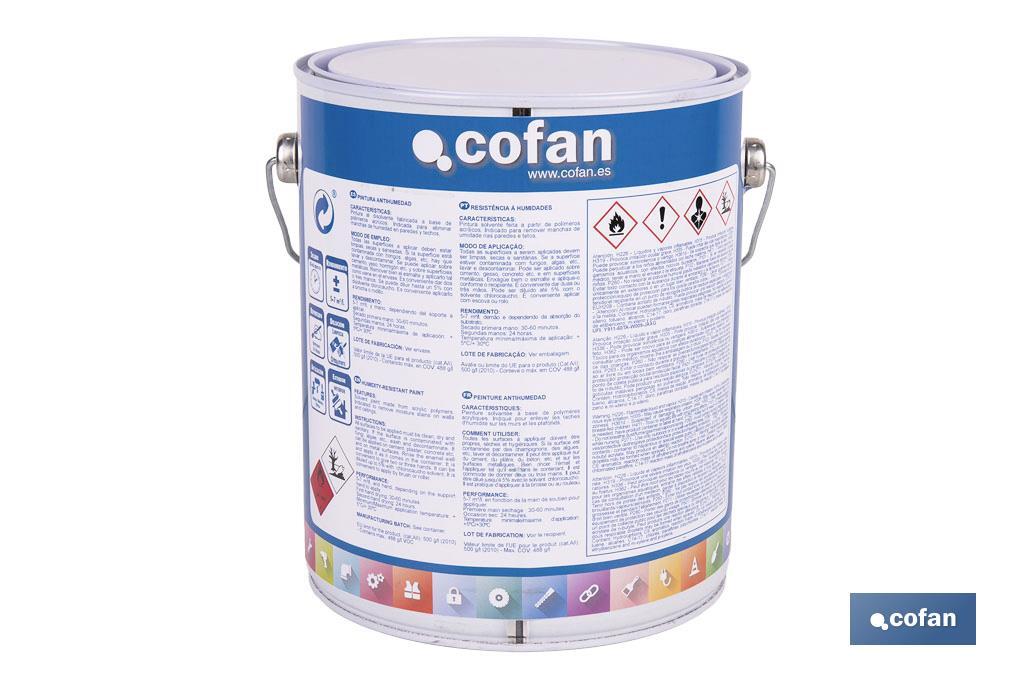 PINTURA ANTIHUMEDAD SINTÉTICA (4 L)  BLANCO SATINADO