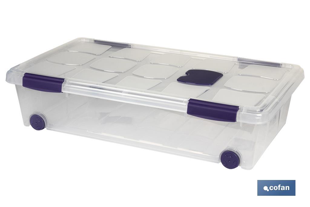 CAJA ORDENACION CON RUEDAS 57L MODELO RICORDI 62X45X32cm