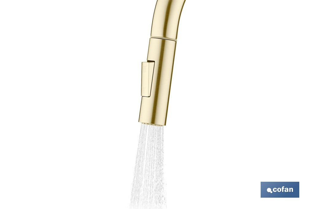 GRIFO DE COCINA CEPILLADO DORADO DE ACERO CON MANGUERA EXTENSIBLE Y 2 FUNCIONES 400 X 220 X 54 MM