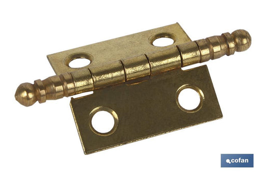 2 UDS BISAGRA HIERRO LATON FIN ALTO 70 X 50