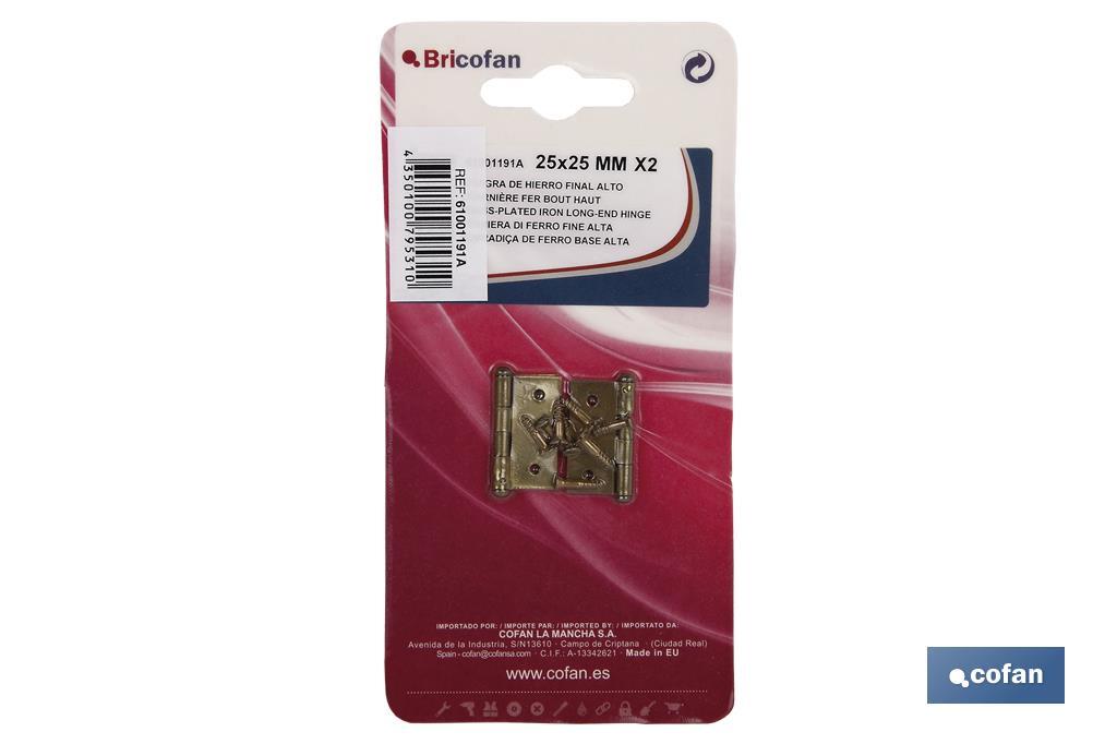 2 UDS BISAGRA HIERRO LATON FIN ALTO 50 X 40